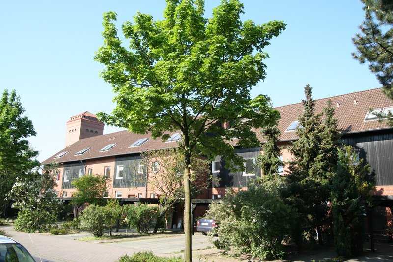 Citynahes Reihenhaus mit pflegeleichtem Garten! - Foto 4